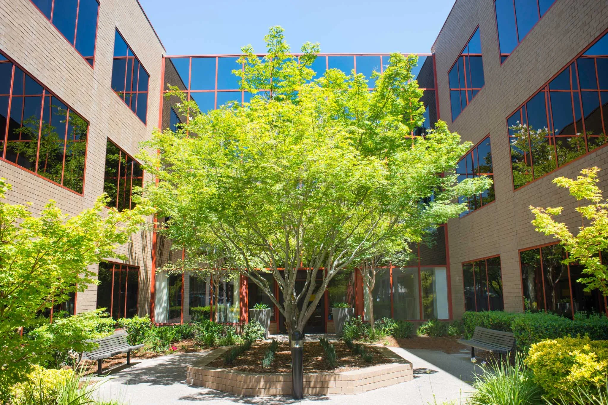 Walnut Creek Executive Park landscaped courtyard office buildings — Chase Merritt